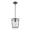 1-Light Black Pendant Light, 1 Pack, Farmhouse Iron Cage Metal Pendant Lighting with Clear Glass Shade