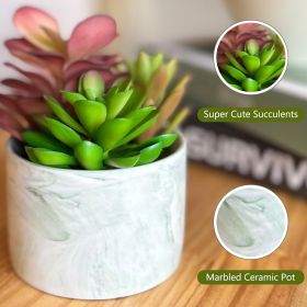 Artificial Plants Cute Colourful Succulents in Ceramic Planter Fake Plant Flowers Potted for Home Living Room Office Desk Decor Bathroom Bedroom Indoo
