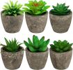 Succulents Plants Artificial Set of 6 Small Realistic Fake Succulent Plant in Pots Realistic Faux Greenery Plants Potted for Home Office Desk Indoor B