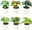 6 Pack Fake Plants for Room Decor Artificial Potted Plants for Home Office Living Kitchen Classroom Table Shelf Desk Farmhouse Bathroom Indoor Decor