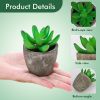 Succulents Plants Artificial Set of 6 Small Realistic Fake Succulent Plant in Pots Realistic Faux Greenery Plants Potted for Home Office Desk Indoor B