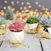 Succulents Plants Artificial in Pots-Rose Pink, Small Fake Succulents Plants for Home Decor Indoor for Women, White Ceramic, Set of 4, Gifts for Mom