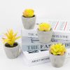 Set of 4 Small Yellow Fake Succulent Plants Artificial Succulents for Bathroom, Living Room, Office Desk, Coffee Table
