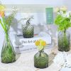 Glass Bud Vase Set of 5, Small Green Flower Vases for Centerpieces in Bulk, Mini Vintage Vase for Wedding Decor, Single Flowers, and Home Table Décor