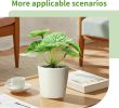 6 Pack Fake Plants for Room Decor Artificial Potted Plants for Home Office Living Kitchen Classroom Table Shelf Desk Farmhouse Bathroom Indoor Decor