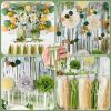 Sage Green Party Decorations Birthday Party Decorations Bridal Shower Balloons Paper Pompoms Fringe Curtain for Birthday Baby Shower Bridal Shower Sup