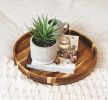 Farmhouse Artificial Plant | 8" Fake Plant for Desk Decor | Artificial Succulent in Pot | Fake Succulent | Faux Plant Indoor | Artificial Greenery for