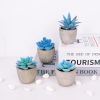 Set of 4 Blue Fake Succulents Potted, Succulents Plants Indoor
