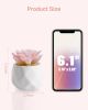 Succulents Plants Artificial in Pots-Rose Pink, Small Fake Succulents Plants for Home Decor Indoor for Women, White Ceramic Faux Succulents, Set of 1