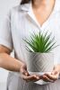 Farmhouse Desk Plant | 8" Small Artificial Plants in Pots | Handmade Cement Pot with Small Fake Plant | Decorative Plants for Office, Bathroom