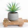 Farmhouse Artificial Plant | 7" high Fake Plant | Artificial Succulent in Pot | Fake Succulent | Faux Plant Indoor | Faux Greenery Desk Decor
