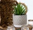Farmhouse Desk Plant | 8" Small Artificial Plants in Pots | Handmade Cement Pot with Small Fake Plant | Decorative Plants for Office, Bathroom