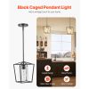 1-Light Black Pendant Light, 1 Pack, Farmhouse Iron Cage Metal Pendant Lighting with Clear Glass Shade