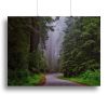 Telephone Box Canvas Print or Poster