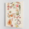 Tropical Vegetable illustration Lock Canvas Print or Poster