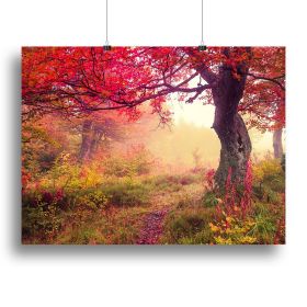 autumn trees in forest Canvas Print or Poster (Type: Standard Framed Canvas Print, size: 24" x 16" / 60cm x 40cm (approx))