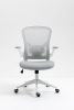 Ergonomic Mesh Office Chair with Breathable Back, Adjustable Height, Padded Seat & Armrests, 250 lbs Capacity