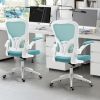Ergonomic Mesh Office Chair with Breathable Back, Adjustable Height, Padded Seat & Armrests, 250 lbs Capacity