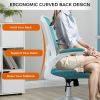 Ergonomic Mesh Office Chair with Breathable Back, Adjustable Height, Padded Seat & Armrests, 250 lbs Capacity
